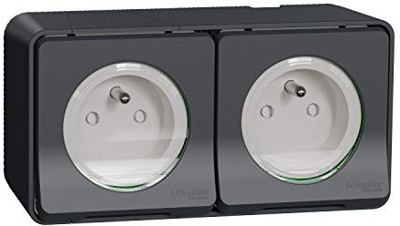 Schneider Electric MUR36028 Taglierina a doppia précâblée horiz, IP55, IK08, colore: Grigio