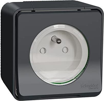 Schneider Electric MUR35031 Mureva Styl Presa di corrente 2P+T sporgente IP55 IK08 connessione auto grigio PC 2P+T SAILLIE