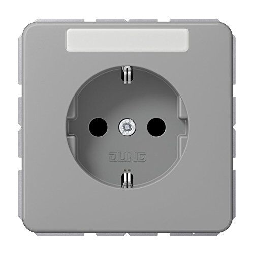 Jung SCHUKO presa 16 A 250 V CD indistruttibile ed etichetta piastra 6 x 37 mm Serie 1 pezzo grigio CD 1520 con Touch Bfkina Gr