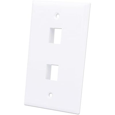 Techly Professional 620263 Placca Porta Frutti 2 Posti MOD.503 Bianco Bianco Techly Professional 620263 Placca Porta Frutti 2 Posti MOD.503 Bianco Bianco