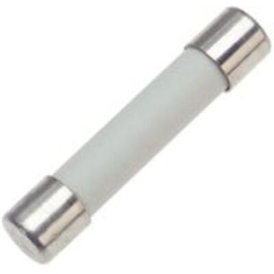 Chauvin Arnoux Metrix Fusibile 10 A (600 V/6 x 32 mm) Chauvin Arnoux Metrix Fusibile 10 A (600 V/6 x 32 mm)