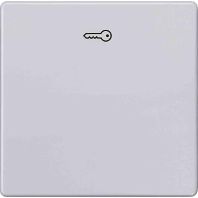 Bjc Delta i-sys: – Tasto Simbolo Chiave Instabus EIB alluminio metallizzato Bjc Delta i-sys: – Tasto Simbolo Chiave Instabus EIB alluminio metallizzato