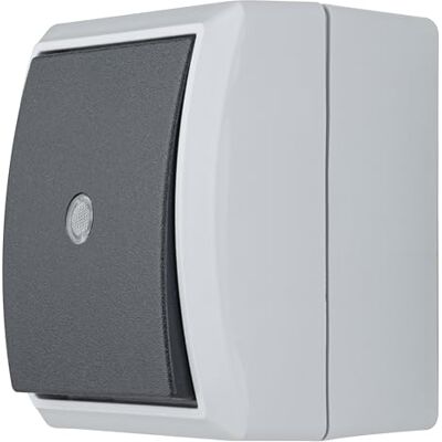 REV AquaForm, interruttore di controllo per ambienti umidi, IP44, monopolo, da parete, grigio REV AquaForm, interruttore di controllo per ambienti umidi, IP44, monopolo, da parete, grigio