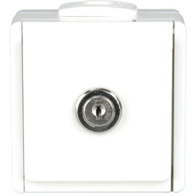 Unitec Presa da parete con coperchio, 1 presa, modello Aquarius FR, colore: bianco polare Unitec Presa da parete con coperchio, 1 presa, modello Aquarius FR, colore: bianco polare
