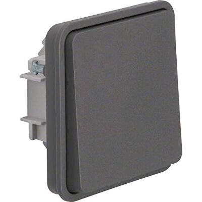 Berker 50453515 Inserto per Pulsante W.1, Colore: Grigio Chiaro Berker 50453515 Inserto per Pulsante W.1, Colore: Grigio Chiaro