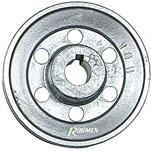 Ribimex Puleggia diam 120 asse 28 mm Ribimex Puleggia diam 120 asse 28 mm