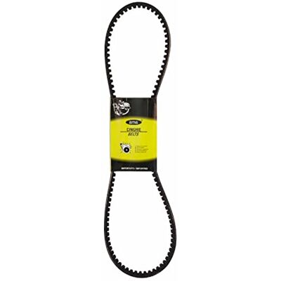 AMA Cinghia Trapezoidale Dentata di Ricambio in Gomma Telata AVX10 per Trattori, Sviluppo Esterno 1225 mm AMA Cinghia Trapezoidale Dentata di Ricambio in Gomma Telata AVX10 per Trattori, Sviluppo Esterno 1225 mm