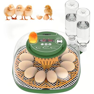 Sharp Incubatrice per Uova Automatica, 12 Uova, con Aggiunta Automatica Dell'Acqua, Girauova Automatico, Controllo Temperatura e Umidità, Funzione Speratura , Visuale a 360°, per Galline, Quaglie, Anatre(A) Sharp Incubatrice per Uova Automatica, 12 Uova, con Aggiunta Automatica Dell'Acqua, Girauova Automatico, Controllo Temperatura e Umidità, Funzione Speratura , Visuale a 360°, per Galline, Quaglie, Anatre(A)