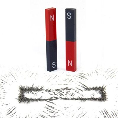 FIRST4MAGNETS Educational Alnico Bar Magnet & Iron Destions Per Scienza, Istruzione, Esperimenti, Studenti E Insegnanti FIRST4MAGNETS Educational Alnico Bar Magnet & Iron Destions Per Scienza, Istruzione, Esperimenti, Studenti E Insegnanti