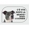 Social Crazy NEW CARTELLO SEGNALETICO AMSTAFF c'è vita dopo la morte, entra e lo scoprirai Adesivo Extra Resistente, Pannello in Forex, Pannello In Alluminio (PANNELLO IN ALLUMINIO 20X31 CM)