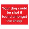 Viking Il tuo cane potrebbe essere sparato se trovato tra le pecore cartello 200 x 150 mm A5L