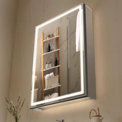 VEVOR Armadietto per Medicinali Illuminato con Specchio 50 x 70 cm da Incasso o da Parete, Mobiletto per Medicinali da Bagno con LED Dimmerabile a 3 Colori, Illuminazione Inferiore VEVOR Armadietto per Medicinali Illuminato con Specchio 50 x 70 cm da Incasso o da Parete, Mobiletto per Medicinali da Bagno con LED Dimmerabile a 3 Colori, Illuminazione Inferiore