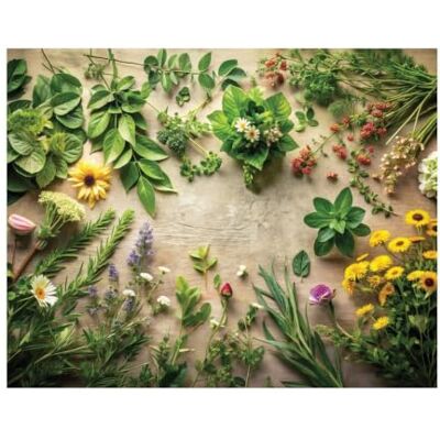 Emmevi Coprifornelli Piano Cottura Gas Induzione In Pvc Antimacchia Copri Fornelli Cucina 52x70 Dis_L Emmevi Coprifornelli Piano Cottura Gas Induzione In Pvc Antimacchia Copri Fornelli Cucina 52x70 Dis_L