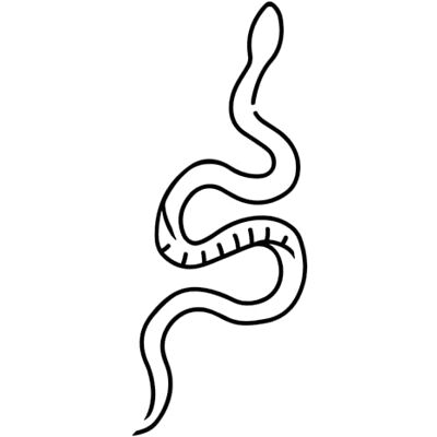 Inkster Tatuaggio con motivo a serpente ® Tatuaggio temporaneo con certificazione cosmetica UE impermeabile + vegano tatuaggio rivoluzionario di 2 settimane Inkster Tatuaggio con motivo a serpente ® Tatuaggio temporaneo con certificazione cosmetica UE impermeabile + vegano tatuaggio rivoluzionario di 2 settimane