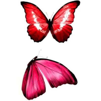 Banbé Adesivi Corpo Adesivo Per Tatuaggio Temporaneo Farfalla Rossa Impermeabile E Di Lunga Durata Banbé Adesivi Corpo Adesivo Per Tatuaggio Temporaneo Farfalla Rossa Impermeabile E Di Lunga Durata