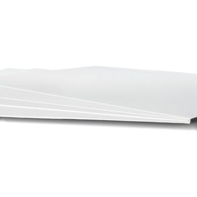 Sartorius Linters Confezione da 100 fogli di carta filtrante di alta qualità, formato 292, larghezza 460 mm, lunghezza 570 mm, colore: Bianco Sartorius Linters Confezione da 100 fogli di carta filtrante di alta qualità, formato 292, larghezza 460 mm, lunghezza 570 mm, colore: Bianco