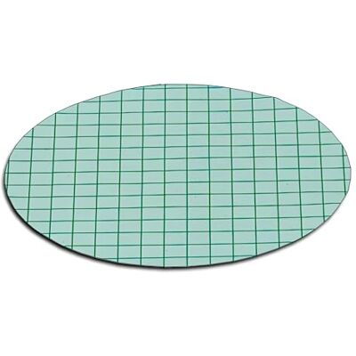 Sartorius 100 filtri a membrana sterili al itrato di cellulosa verde scuro, 0,45µm pori Sartorius 100 filtri a membrana sterili al itrato di cellulosa verde scuro, 0,45µm pori