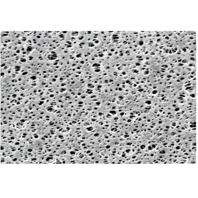 Sartorius Filtri a membrana in poliethersulfon, tipo 15407, pori 0,2 µm, diametro 50 mm, 100 pezzi Sartorius Filtri a membrana in poliethersulfon, tipo 15407, pori 0,2 µm, diametro 50 mm, 100 pezzi