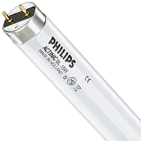 Philips Actinic BL TL TL-D 15W/10 1SL/25, Lampadine fluorescenti, 15 W, Tube, T26, G13, Actinic, 5000 h