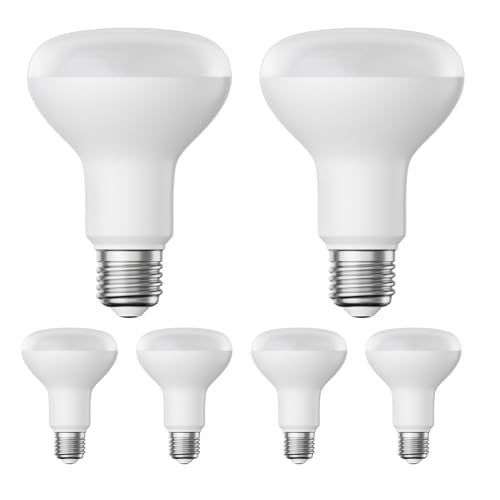 ledscom.de 6 pezzi E27 Lampadina LED, R80, bianco caldo (2700 K), 10 W, 935lm, opaca
