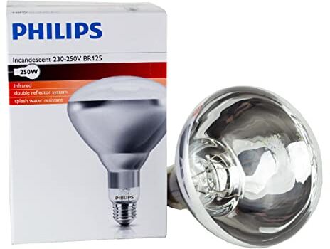 Philips Infrarotbirne  Weißlicht-Infrarotstrahler 250W Wärmelampe Heizstrahler