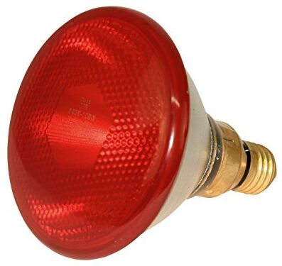 Kerbl Lampada a infrarossi  lampada economica rossa (175 W, lampada termica per suini + pollame, tempo di funzionamento max. 5000 ore, base lampada E27, lampada stabile)