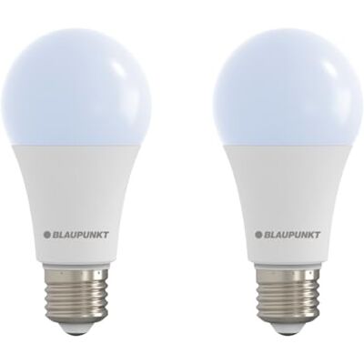Blaupunkt E27 A65 Lampadina a LED 18 Watt Luce Diurna, Confezione da 2 Sostituisce 150-180W, Illuminazione principale, Anti-abbagliamento, Finitura smerigliata – per officine e lavanderie Blaupunkt E27 A65 Lampadina a LED 18 Watt Luce Diurna, Confezione da 2 Sostituisce 150-180W, Illuminazione principale, Anti-abbagliamento, Finitura smerigliata – per officine e lavanderie