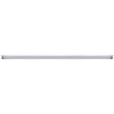 Perel Lampada UV per trappole e dispositivi anti-insetti, tubo UV T8 10W, Ø25,5mm, 329mm, 8000h, lampada di ricambio per dispositivi elettrici Perel Lampada UV per trappole e dispositivi anti-insetti, tubo UV T8 10W, Ø25,5mm, 329mm, 8000h, lampada di ricambio per dispositivi elettrici