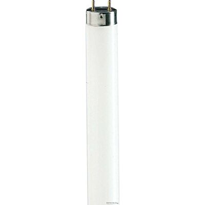 Philips MASTER TL-D De Luxe 58.5W G13 A Bianco freddo lampada fluorescente Philips MASTER TL-D De Luxe 58.5W G13 A Bianco freddo lampada fluorescente