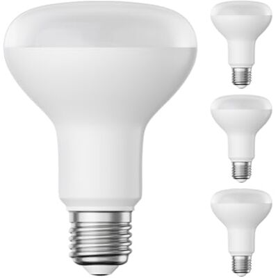 ledscom.de 4x lampadina LED E27, R80, bianco caldo (2700 K), 10 W, 935lm, opaca ledscom.de 4x lampadina LED E27, R80, bianco caldo (2700 K), 10 W, 935lm, opaca