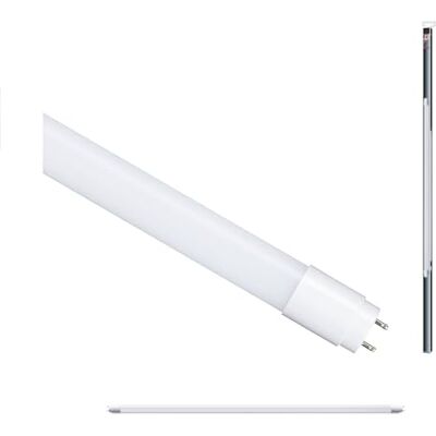 Paulmann Tubo LED standard 230V G13 230V 17,8W 1800lm 28mm opale vetro 6500K bianco luce naturale lampadina Paulmann Tubo LED standard 230V G13 230V 17,8W 1800lm 28mm opale vetro 6500K bianco luce naturale lampadina