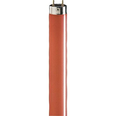 Philips Phi.LM Lampada fluorescente 36 W Rosso TL D 36 W/15 Philips Phi.LM Lampada fluorescente 36 W Rosso TL D 36 W/15