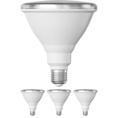ledscom.de 4x E27 lampadina LED, PAR38 collo corto, bianco (4000 K), 14,9 W, 1395lm, 41°, specchio riflettore (argento) ledscom.de 4x E27 lampadina LED, PAR38 collo corto, bianco (4000 K), 14,9 W, 1395lm, 41°, specchio riflettore (argento)