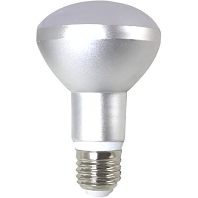 SILVER ELECTRONICS Silver -10w ha condotto la lampada del riflettore e27 r80 l.c.cri 80 SILVER ELECTRONICS Silver -10w ha condotto la lampada del riflettore e27 r80 l.c.cri 80