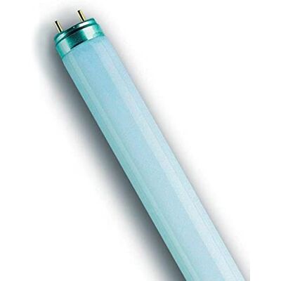 OSRAM , lampade fluorescenti L 58 watt 827, 10 pezzi OSRAM , lampade fluorescenti L 58 watt 827, 10 pezzi