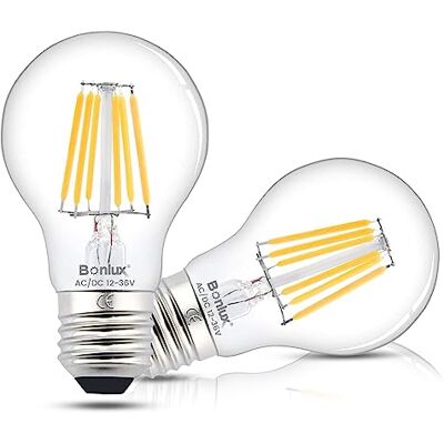 Bonlux 6W A60 E27 LED lampadine AC/DC 12-24V Edison vite LED filamento lampadina bianco caldo 2700K Vintage lampadina equivalente 60W 75W alogena 360 gradi per RV Camper Marine Yacht Lorry (2-Pack) Bonlux 6W A60 E27 LED lampadine AC/DC 12-24V Edison vite LED filamento lampadina bianco caldo 2700K Vintage lampadina equivalente 60W 75W alogena 360 gradi per RV Camper Marine Yacht Lorry (2-Pack)