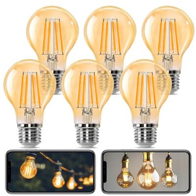 Aigostar Lampadina Vintage Edison LED E27 10W Equivalenti a 77W, Luce Calda 2200K, 1100Lm, CRI>80, A60 Stile Vintage Lampadine Decorativo, Non Dimmerabile, Pacco da 6 Pezzi Aigostar Lampadina Vintage Edison LED E27 10W Equivalenti a 77W, Luce Calda 2200K, 1100Lm, CRI>80, A60 Stile Vintage Lampadine Decorativo, Non Dimmerabile, Pacco da 6 Pezzi