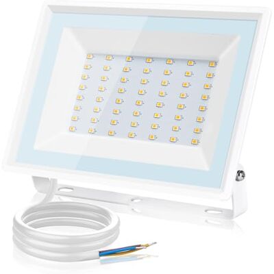Aigostar Faretto LED da Esterno 50W,4300LM,Faretti LED Esterno Naturale 4000K,Luce di Sicurezza Impermeabile IP65,Per Giardino,Cortile,Garage,Corridoio Aigostar Faretto LED da Esterno 50W,4300LM,Faretti LED Esterno Naturale 4000K,Luce di Sicurezza Impermeabile IP65,Per Giardino,Cortile,Garage,Corridoio