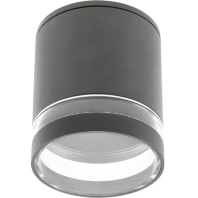 GTV Plafoniera da Soffitto Cilindrica RIVEN, per Esterni e Interni, Grado di Protezione IP54, Attacco GU10, Max 35W, 102x120 mm, in Alluminio, Grafite GTV Plafoniera da Soffitto Cilindrica RIVEN, per Esterni e Interni, Grado di Protezione IP54, Attacco GU10, Max 35W, 102x120 mm, in Alluminio, Grafite