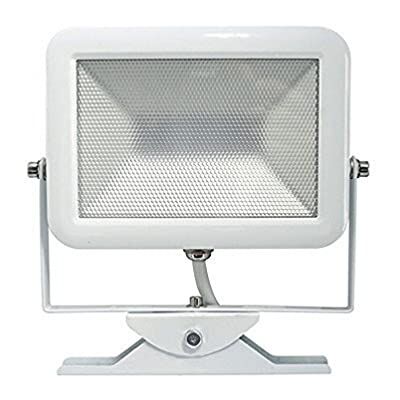 Electraline Proiettore Faretto Slim da Esterno, IP65 a LED con Staffa, 30W, Bianco Electraline Proiettore Faretto Slim da Esterno, IP65 a LED con Staffa, 30W, Bianco