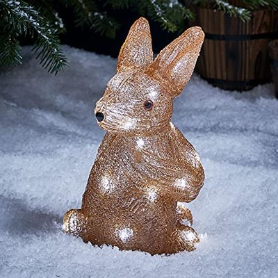 Lights4fun Coniglio Luminoso Acrilico di 27 cm con LED Bianchi a Pile per Arredo di Natale per Esterni Lights4fun Coniglio Luminoso Acrilico di 27 cm con LED Bianchi a Pile per Arredo di Natale per Esterni
