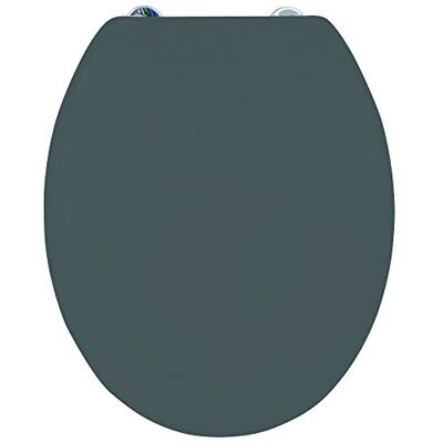MSV Sedile WC Rigido Thermo Grigio Antracite Cerniere in Acciaio Inox MSV Sedile WC Rigido Thermo Grigio Antracite Cerniere in Acciaio Inox