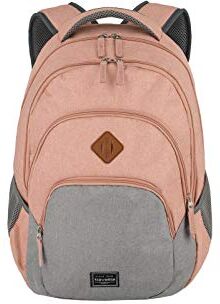 travelite zaino bagaglio a mano da viaggio con scomparto per laptop 15.6 pollici, serie di valigie BASICS Daypack Mélange: zaino alla moda in look mélange, 45 cm, 22 litri, Rosa/Grigio