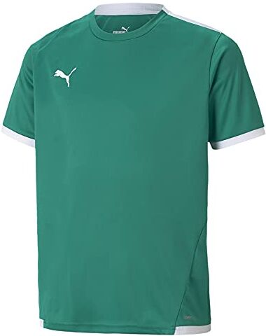 Puma teamLIGA Jersey Jr