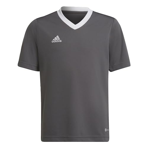 Adidas Entrada 22 Short Sleeve Jersey, T-shirt Unisex Bambini e ragazzi, Team Grey Four, 152