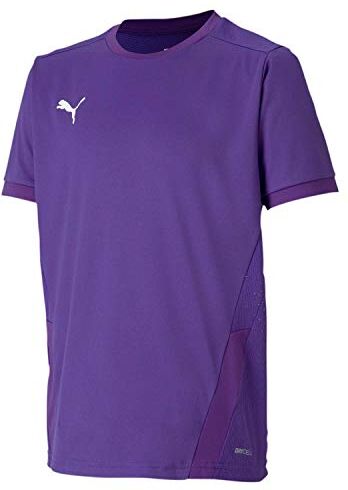 Puma PUMHB # teamGOAL 23 Jersey jr, Maglietta Unisex Bambini, Prism Violet-Tillandsia Purple, 164