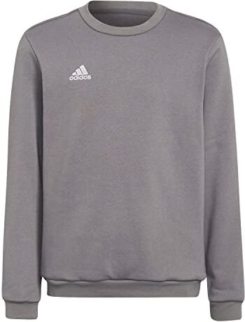 Adidas Entrada 22 Long Sleeve Sweatshirt, Maglia Lunga Unisex-Bambini e Ragazzi, Team Grey Four, 164