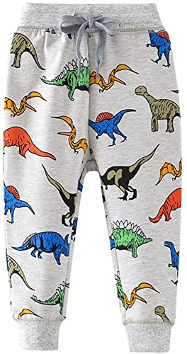 Pantaloni lunghi per ragazzi Pantaloni da Ragazzo, Dinosaur Grey, 116, Boy's