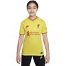 Nike liverpool Stagione 2021/22 Maglia Other Attrezzatura da gioco, L, Unisex