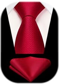 HISDERN Cravatta Rosso Uomo Cravatte e Fazzoletto Elegante Cravatta da Matrimonio Business